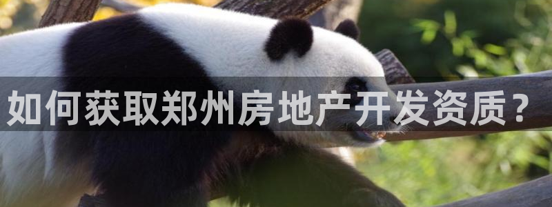 永利股份是什么板块股票?