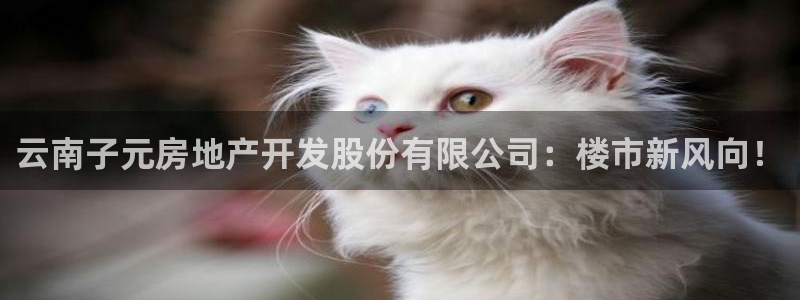 永利批发市场在哪里