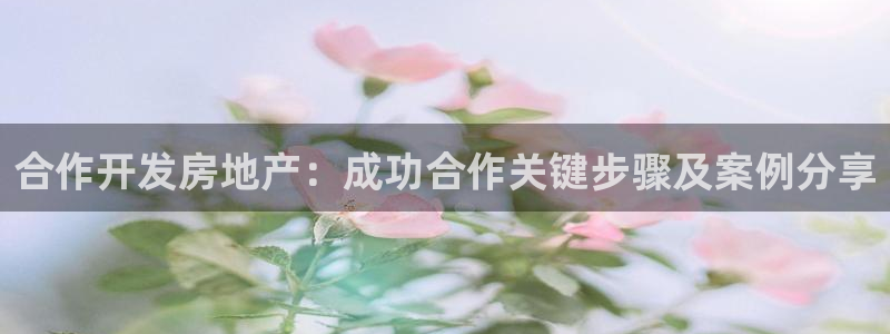 永利皮带官网价格查询表