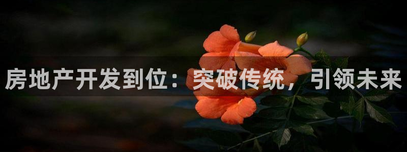 永利输的钱可以弄回来吗是真的吗