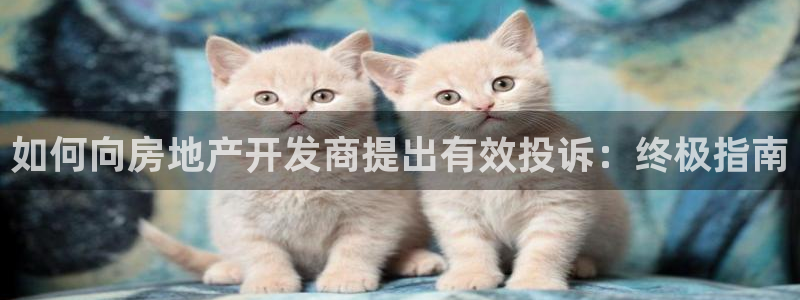 永利保险公司介绍