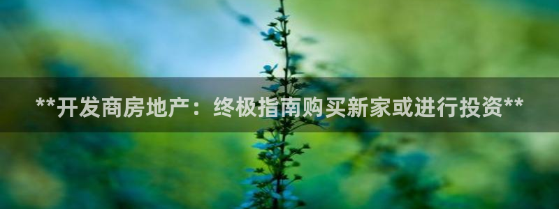 永利 股票