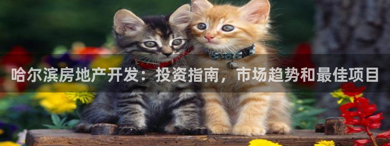 广州永利汇