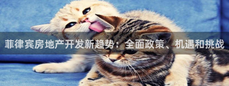 永利属于哪个集团
