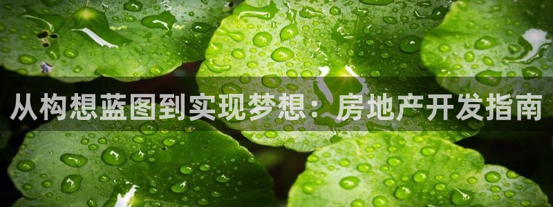 永利皮带官网价格查询系统