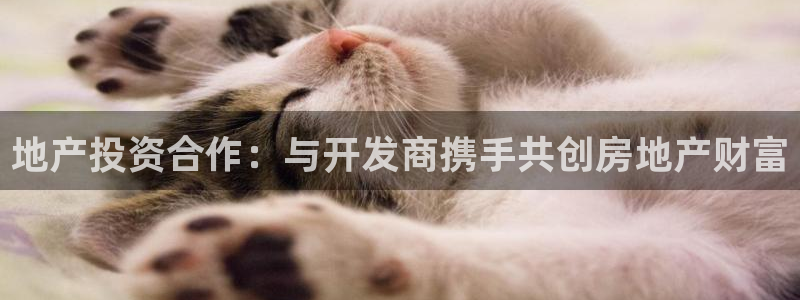 永利包装有限公司