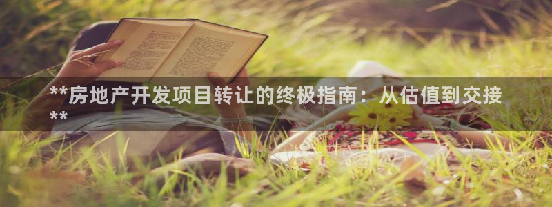 永利集团董事长