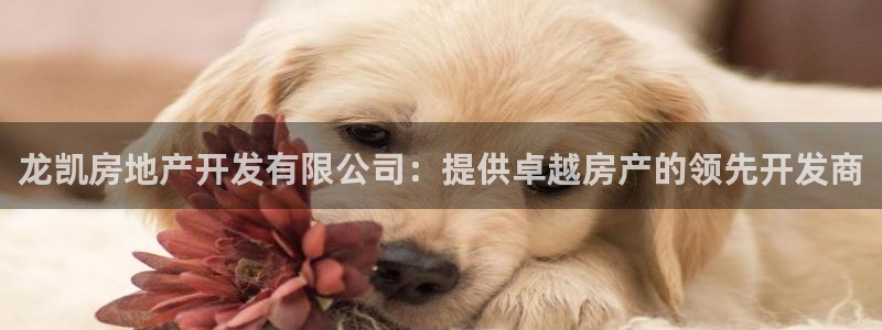 永利现场