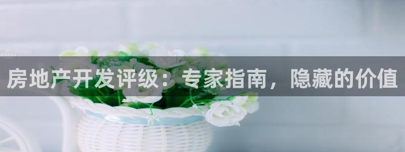 永利运动鞋