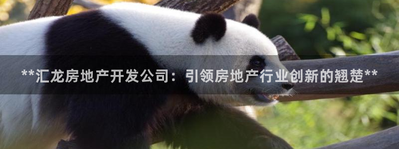 永利官网服务承诺在哪