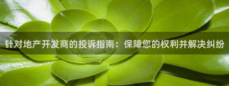 永利公司是做什么的