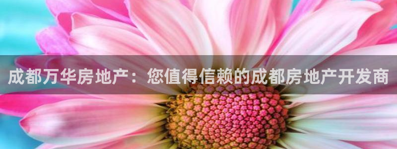 永利皮具lv工厂
