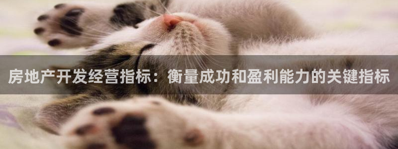 永利家具厂怎么样