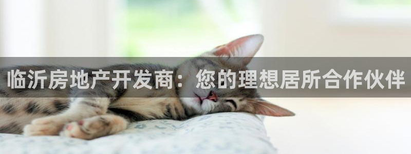 永利集团董事长简历