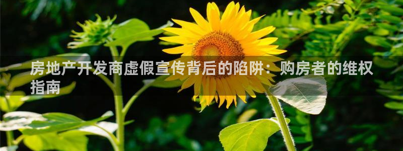 14m永利官网