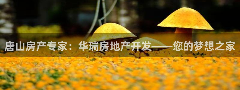 浙江永利集团