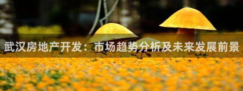 永利房地产开发有限公司总经理