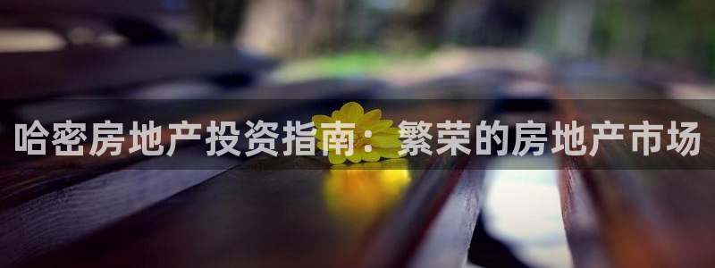 永利带业 皮带 输送带 价格