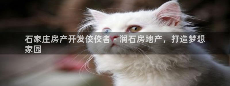 永利鞋业有限公司