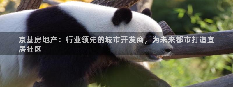 永利皮革有限公司怎么样