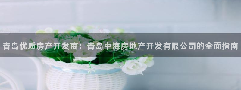 永利带业集团2020年的业绩状况