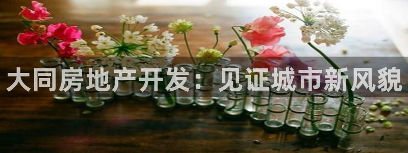 永利输的钱可以弄回来吗