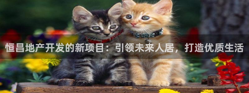 永利汇招聘
