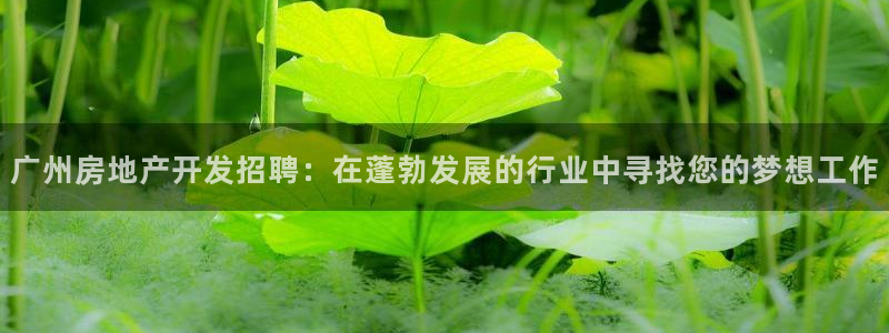 莱州永利集团