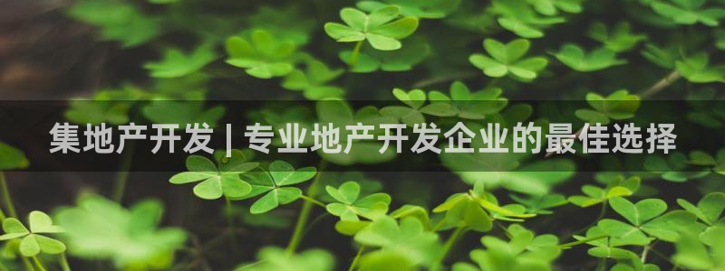 永利皮带官网价格查询系统