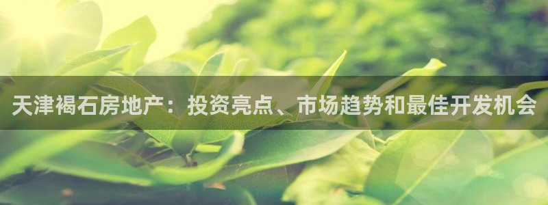 永利铔厂具体地址