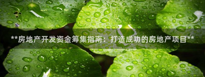 永利皮带型号说明图解