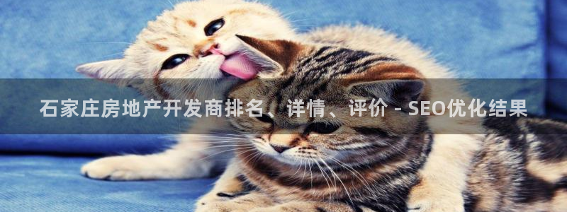 永利置业有限公司