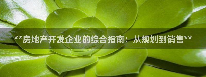 永利集团董事长简历
