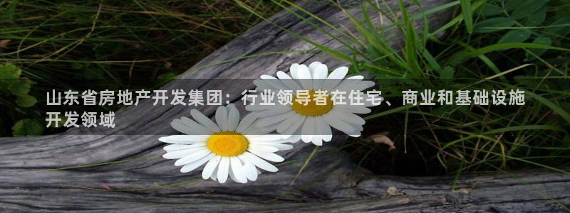 永利链条