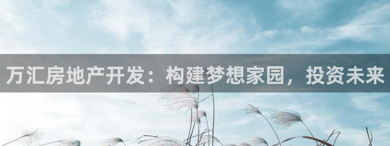 永利有限公司