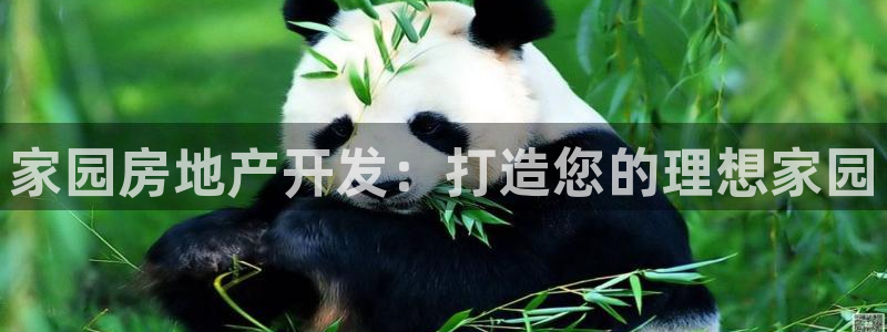 滨州永利集团