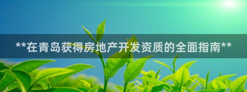 永利皮带型号说明书