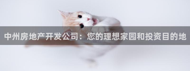 佛山永利工业皮带厂怎么样