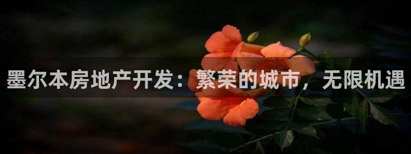 澳门永利吴乐城