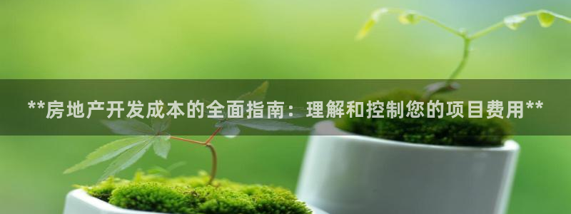 永利背五厘正常价格